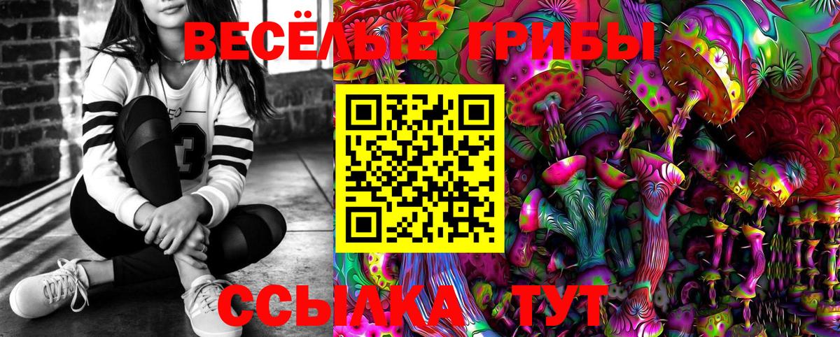 Галлюциногенные грибы Psilocybine cubensis Бирск